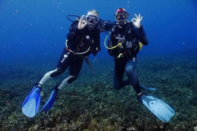 虫虫助手下载