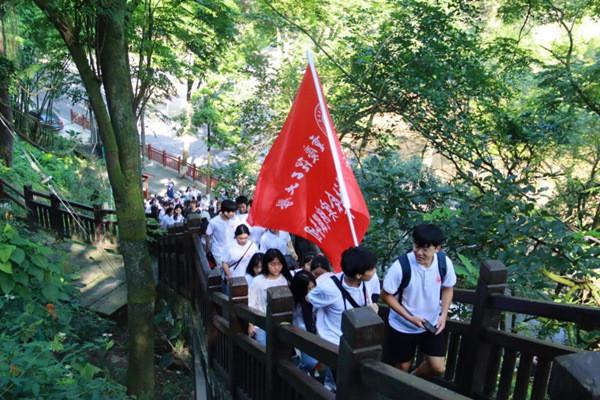 牛屎有什么好处