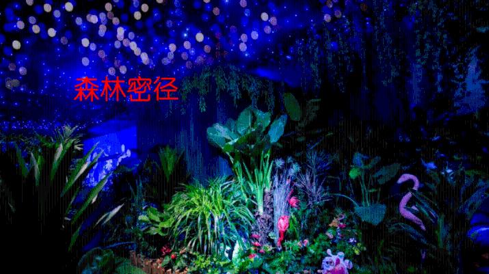 精装修的房子还需要装修吗